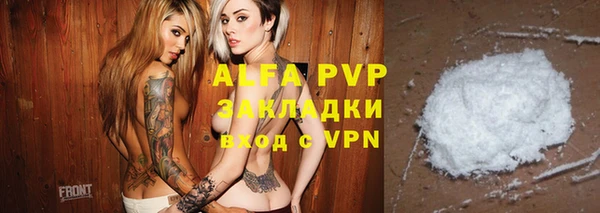 прущие грибы Баксан
