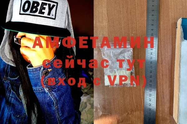 прущие грибы Баксан