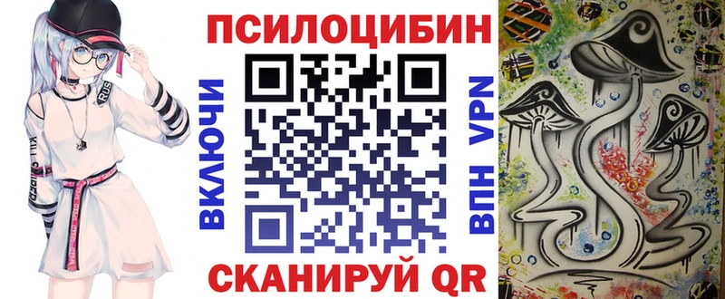 KRAKEN зеркало  Оха  Псилоцибиновые грибы мицелий 